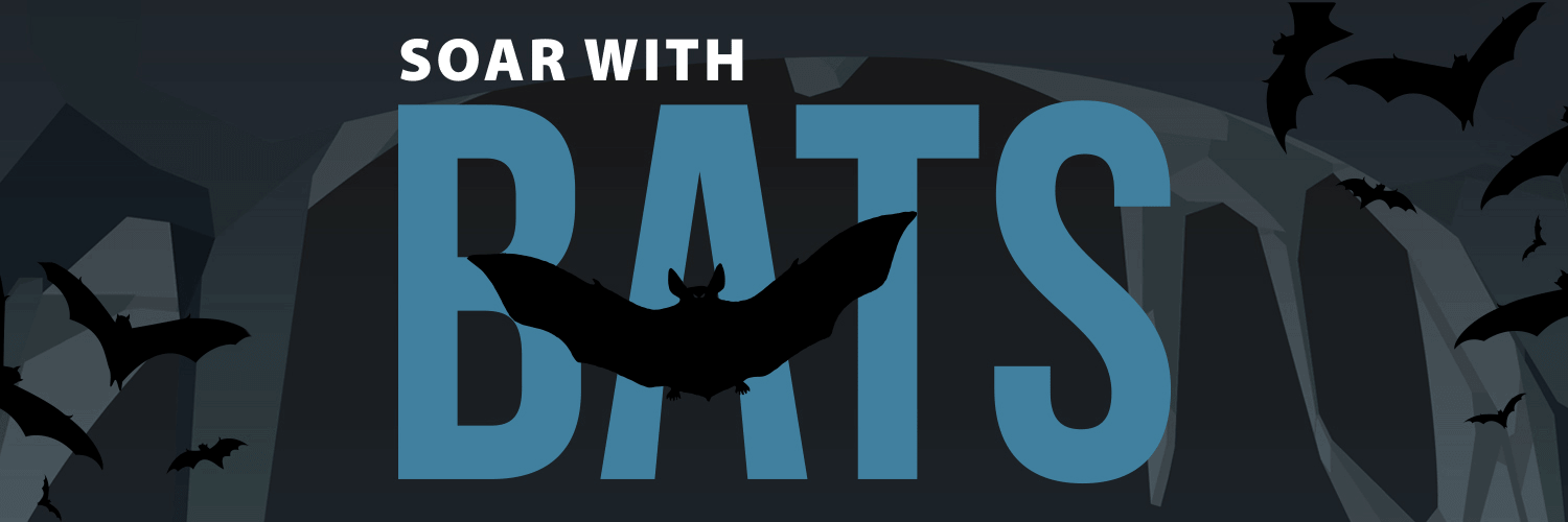 Soar with Bats
