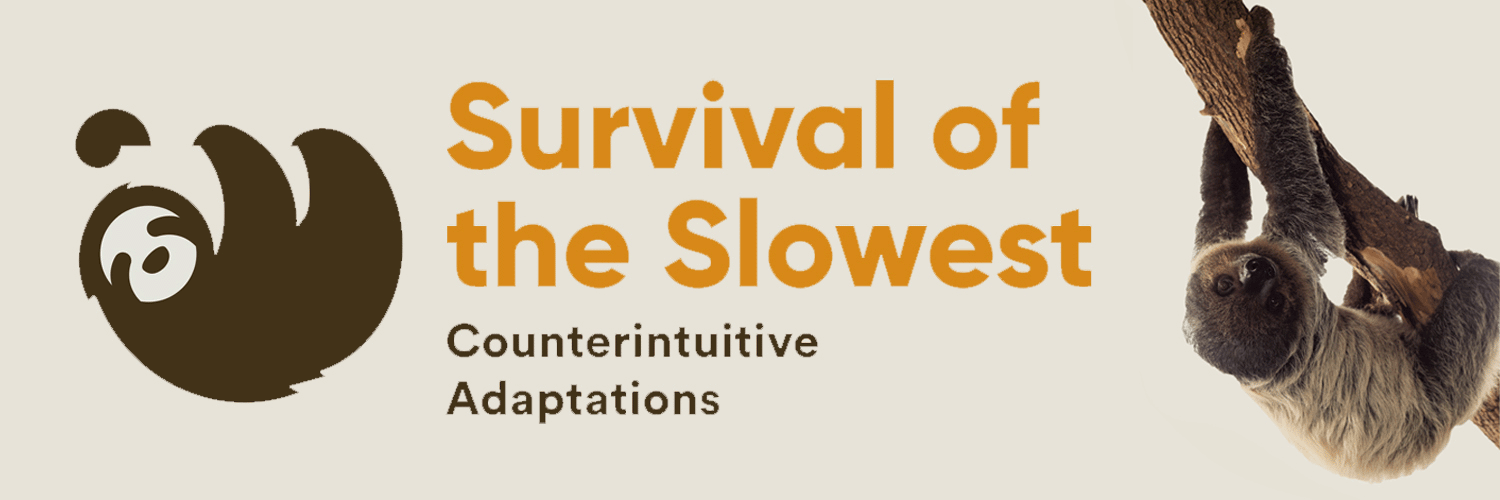 Survival of the Slowest
