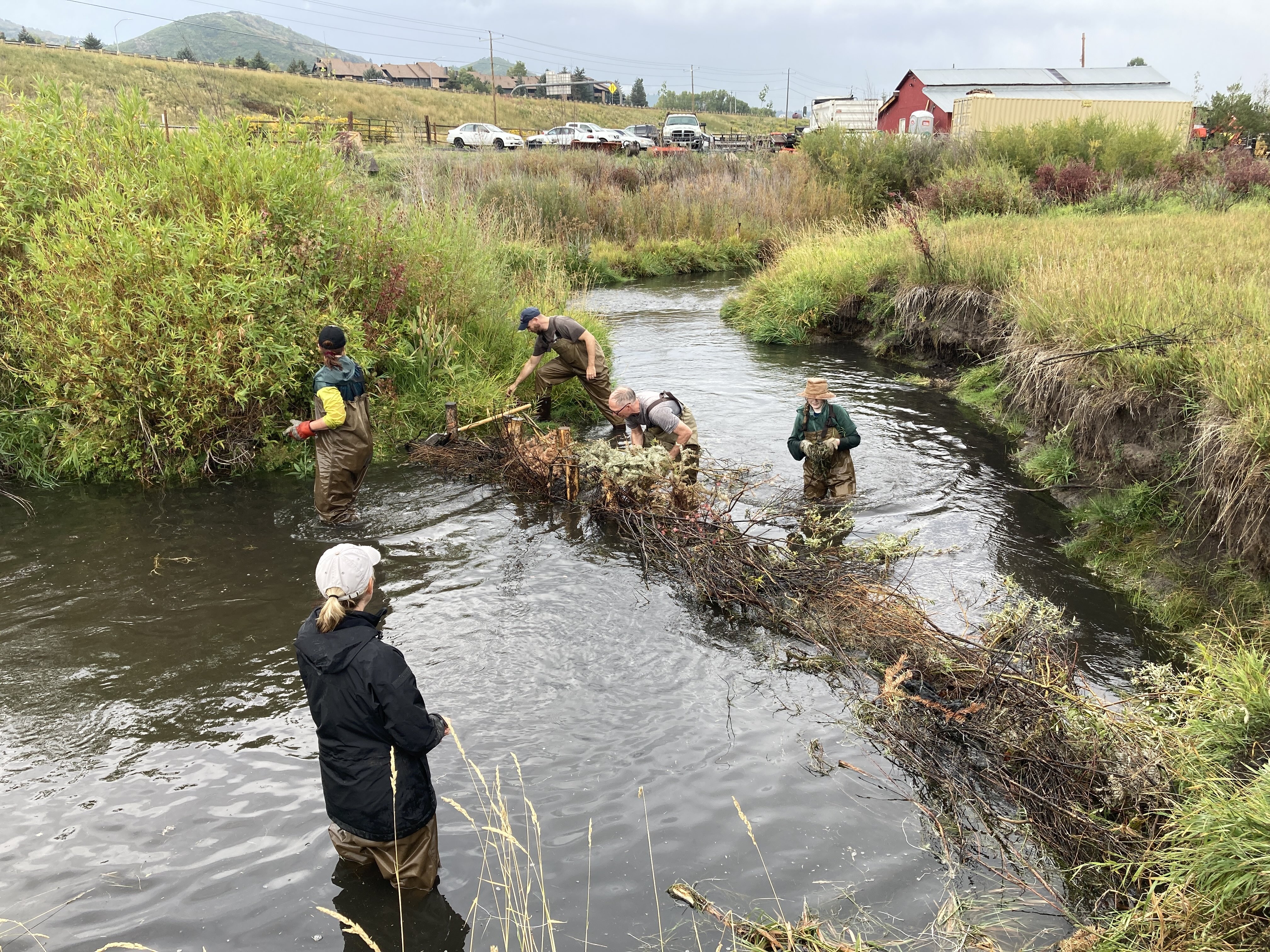 People building a beaver dam analog