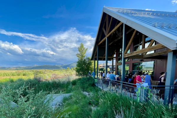 people gathered on the back deck of the Swaner EcoCenter overlooking the wetland preserve on a summer night