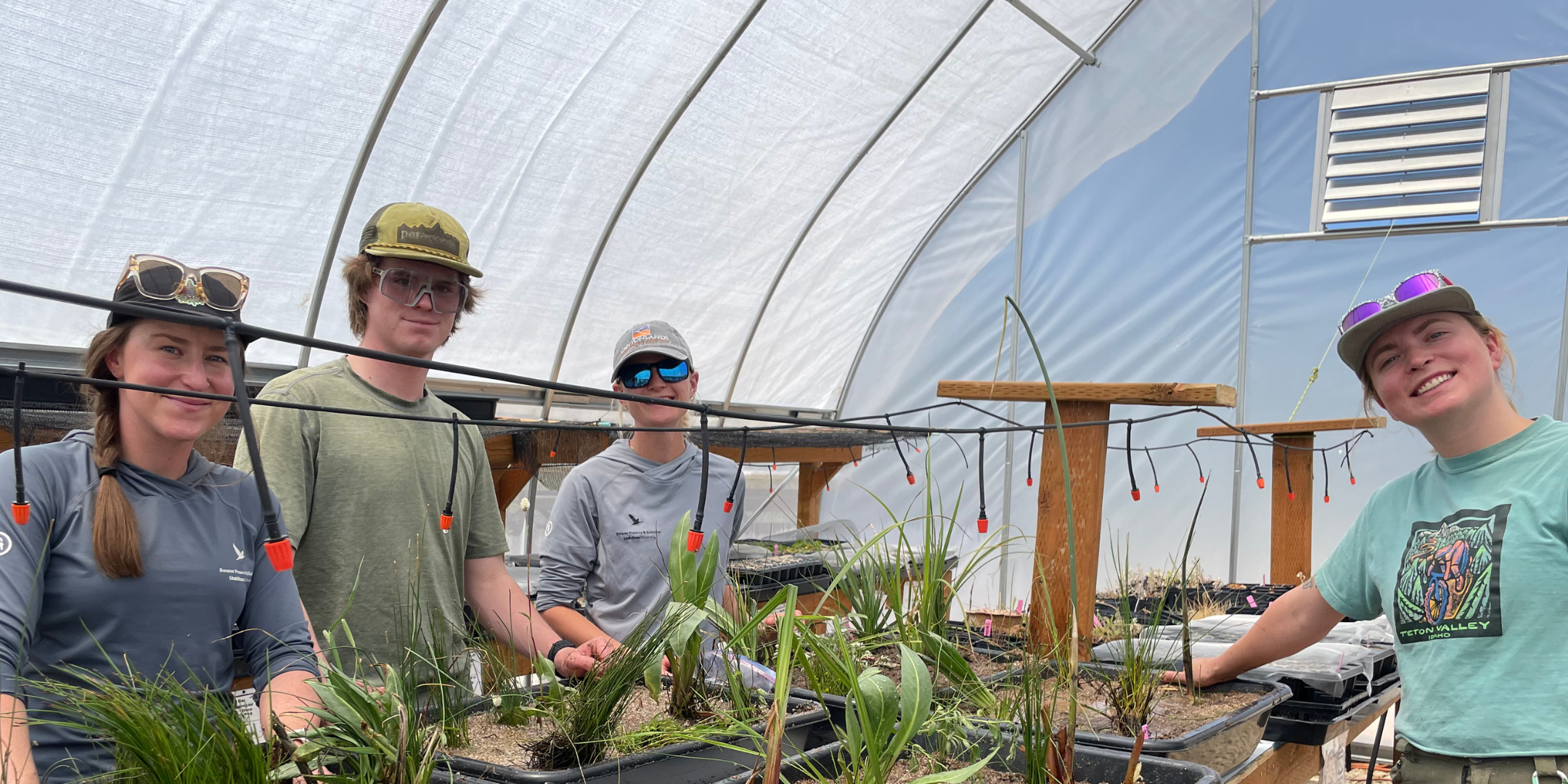 Conservation team posing with wetland plants