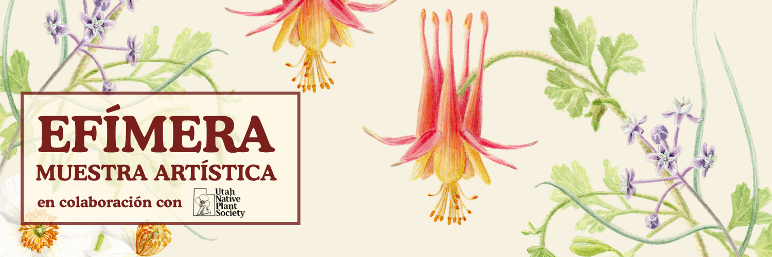 Botanical illustrations of Utah native plants with the words "Efímera Muestra Artística en colaboración con Utah Native Plant Society" in a red framed box overlaying the illustration.