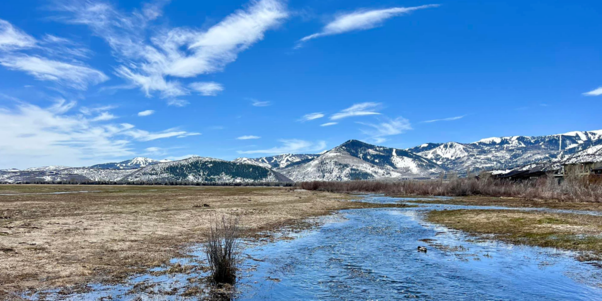 Wetland with creek running through and Wasatch Mountains in the background