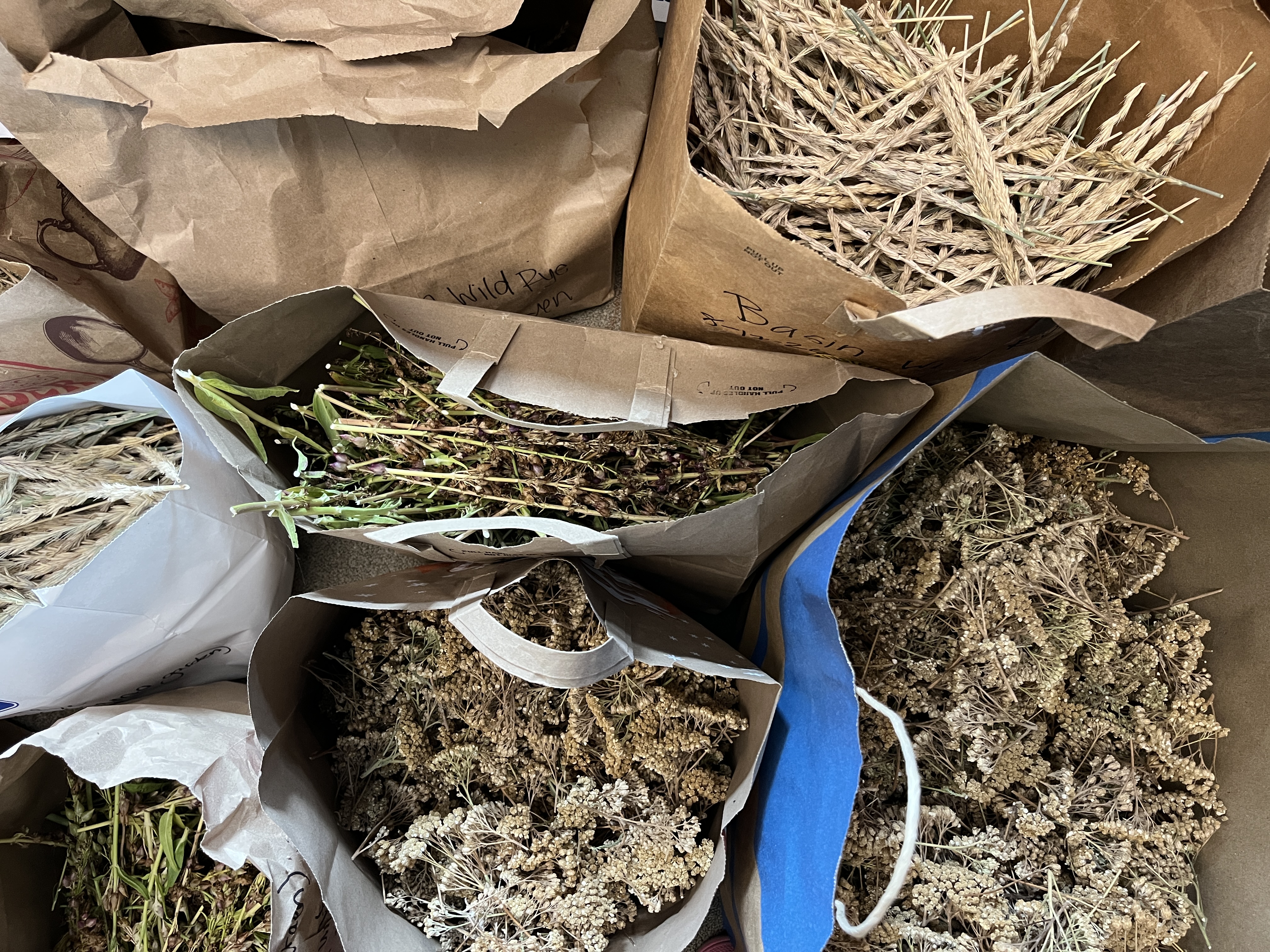 Several paper bags filled with a variety of dried flowers and seeds, photo taken from an aerial point of view.