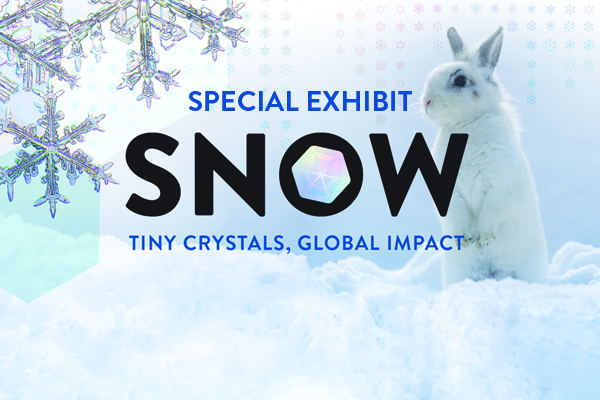 Special Exhibit - Snow: Tiny Crystals, Global Impact (with bunny in snow and snow crystals in the background)