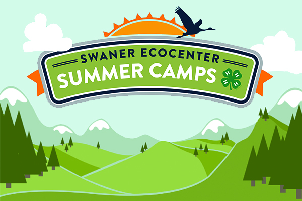 Banner that says "Swaner EcoCenter: Summer Camps" with sun and crane flying above it and graphic-designed mountains below it