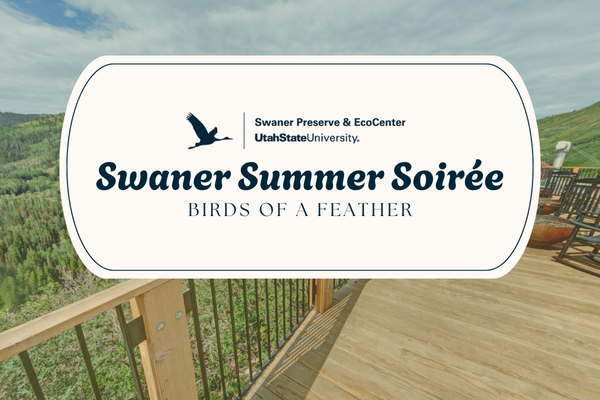 An oval banner that has the Swaner Preserve & EcoCenter logo with crane symbol and say "Swaner Summer Soiree: Birds of a Feather" overlaid a warm toned porch overlooking stunning summer mountain views.