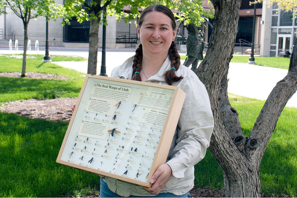Brenna Decker holding case of pinned wasps