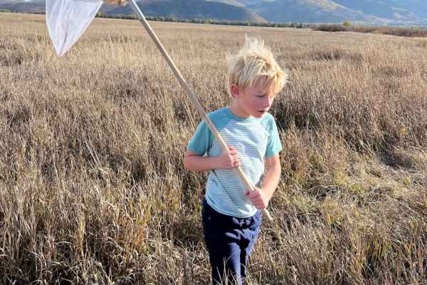 Child holding a net in a field