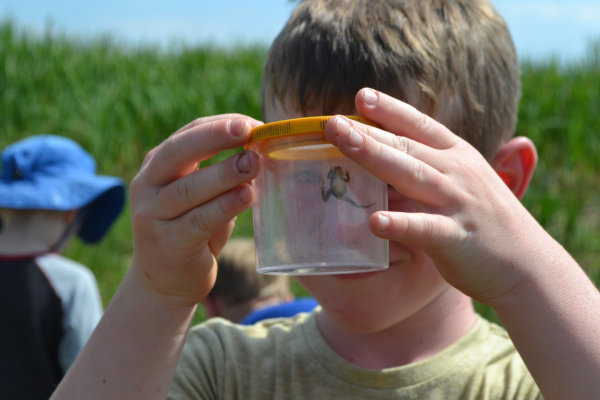 Child looking at frog caught in jar