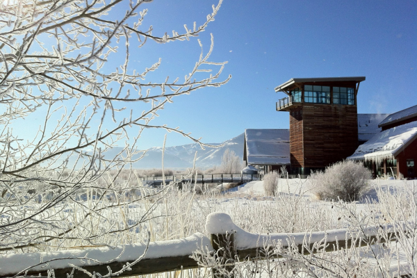 Snowy EcoCenter