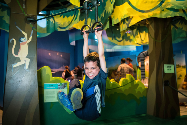 Kid hanging on a small indoor zipline in a jungle-themed exhibit.
