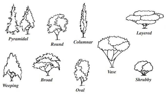 Visual representation of the different crown types