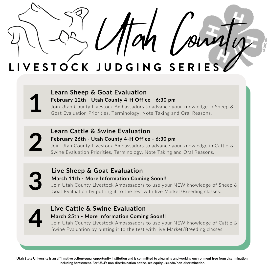 Livestock Judging Series