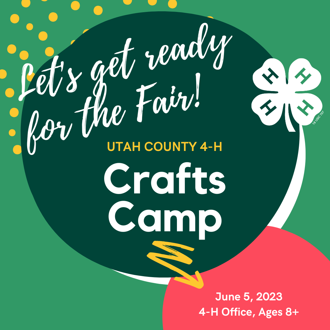 Fair Craft Camp Graphic