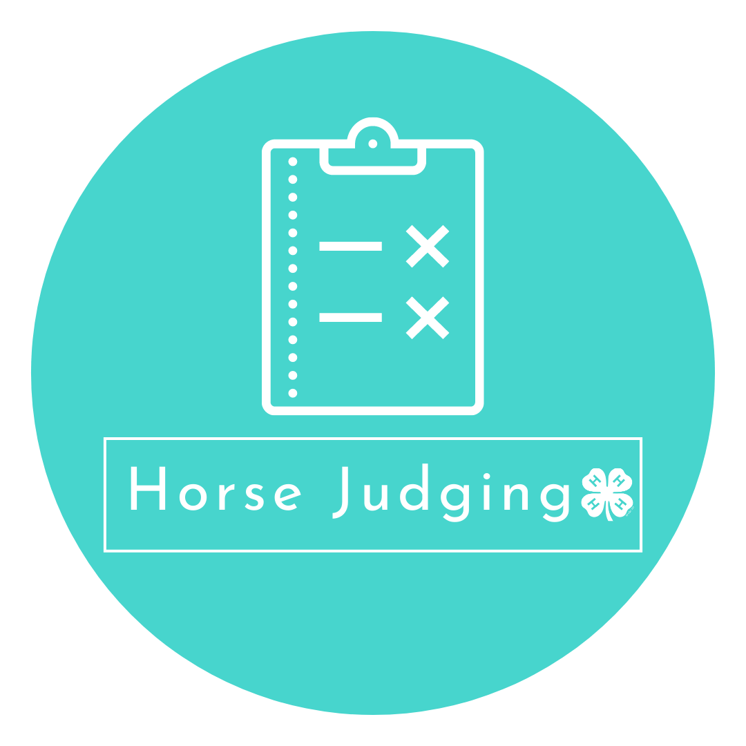 Horse Judging