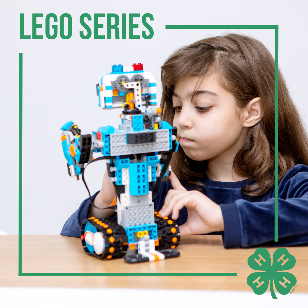 Lego Series Graphic