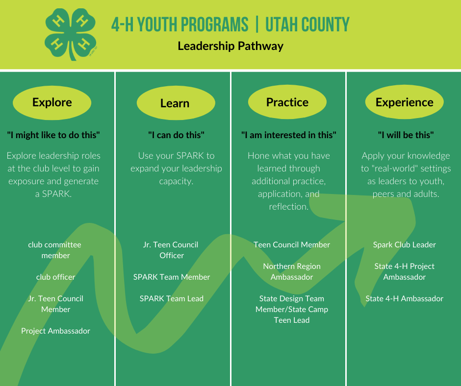 Youth Leadership Opportunities