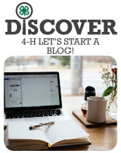 Let's Start a Blog!