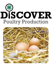Poultry Production