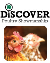 Poultry Showmanship
