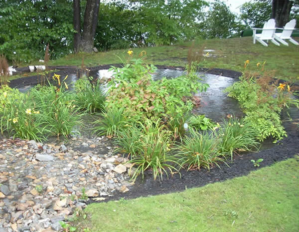 Closer image of rainscaping in a yard with a flowerbed and full of water.