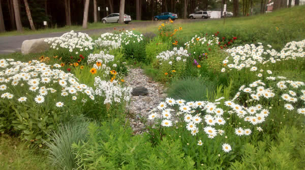 Landscaping with flowers.