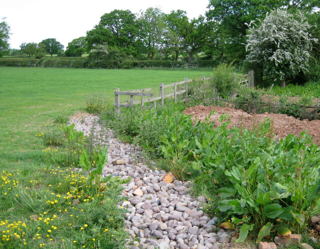 Established French drain with rocks and vegetation managing rainwater runoff.