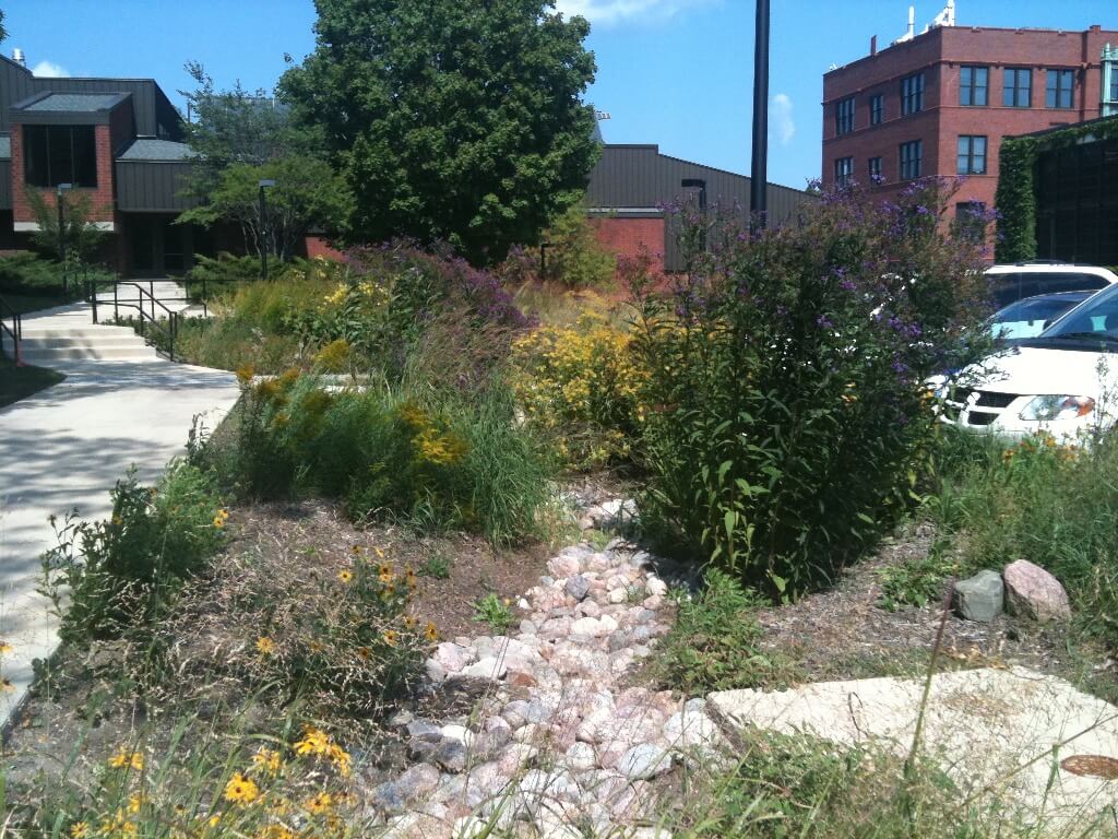 Strip of land with pebbles and greenry within a city.