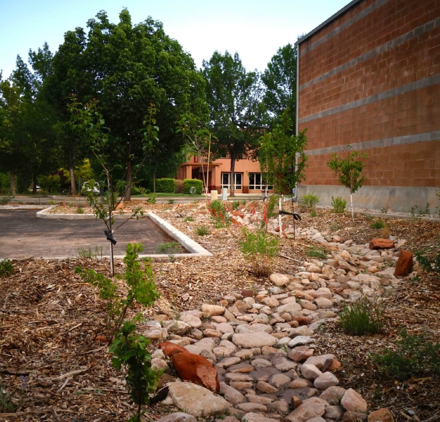 A swale with rock between a building and parking lot with bends.