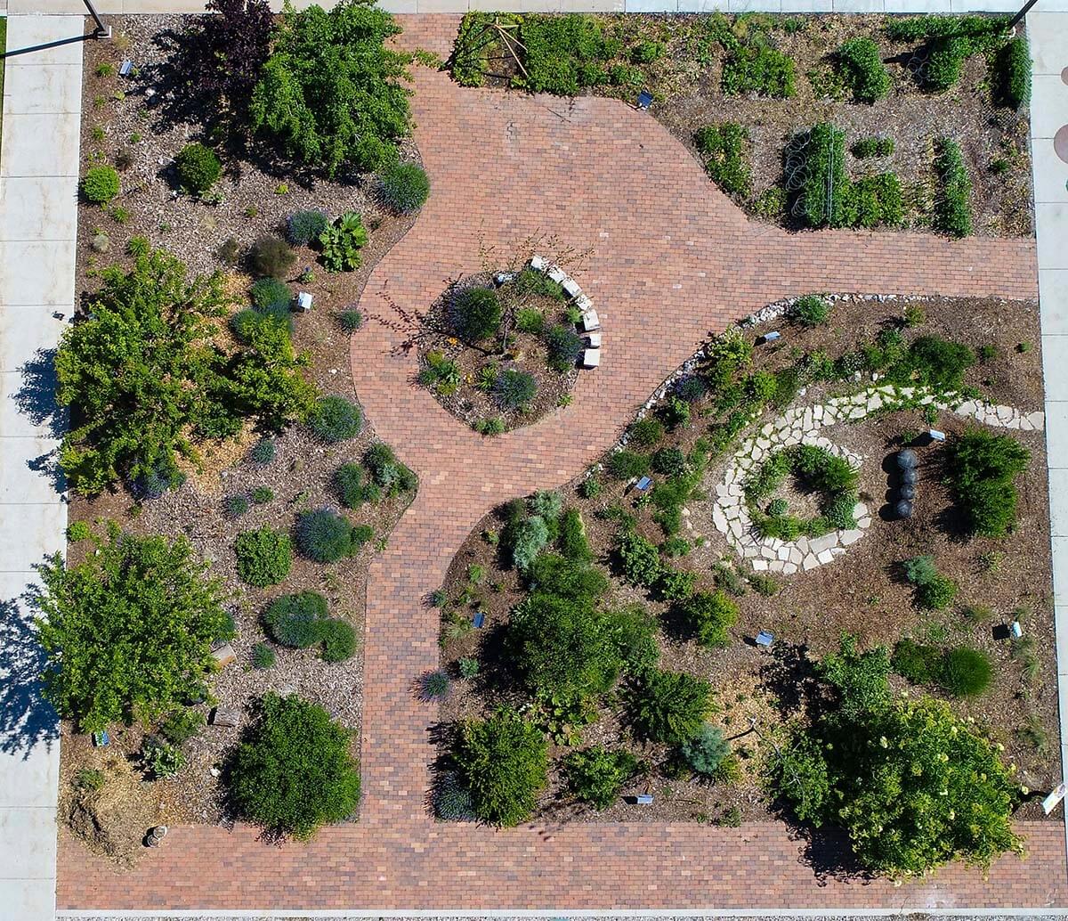 Aerial view of a rain garden with pathways and greenery