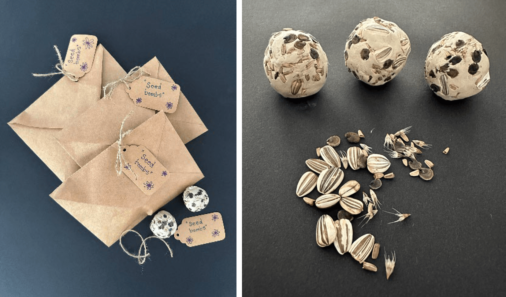 Collage showing hands working with seeds, small paper seed packets labeled “seed bombs,” and a close-up of striped sunflower seeds arranged on a surface.