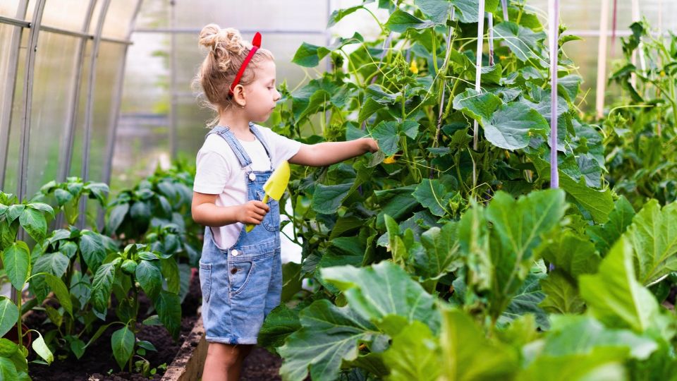 A young girl in a greenhouse caring for a plant.