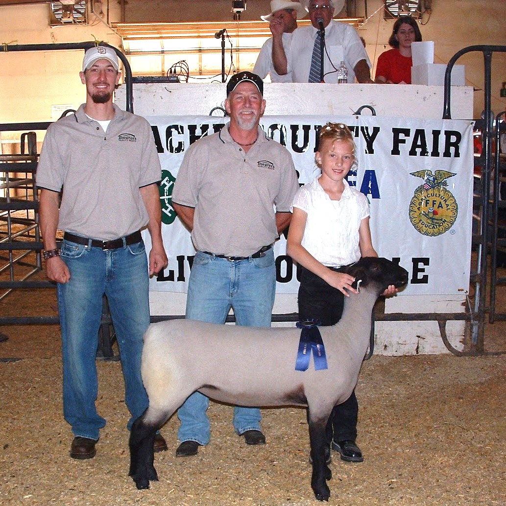 4-H Lamb Fair