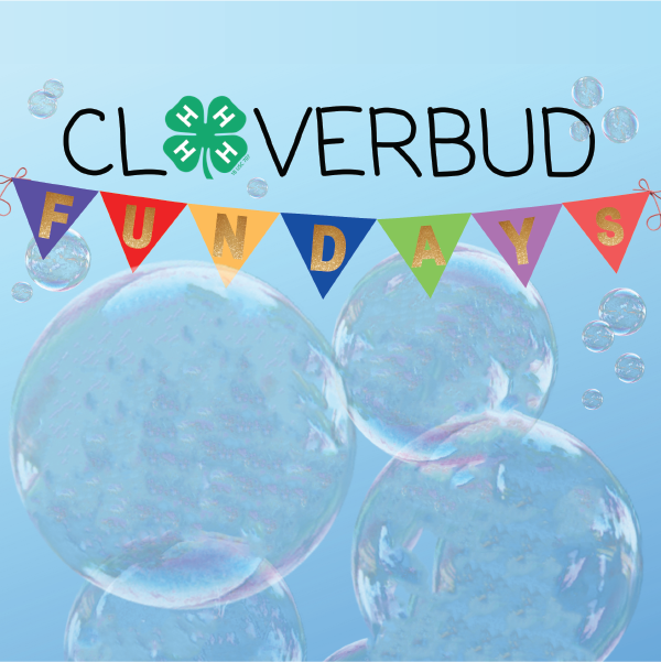 Cloverbud Fun Days