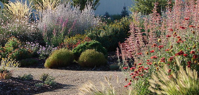 A garden with flowers and a variety of plants