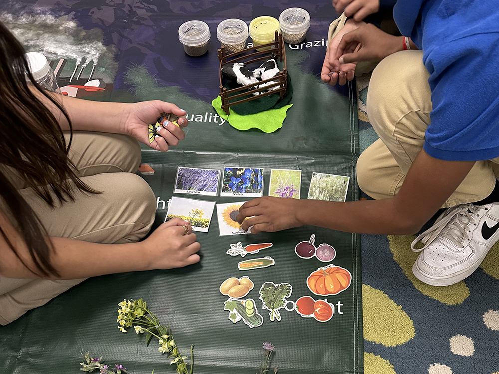 STEM in Utah classrooms