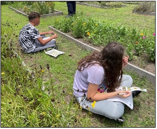 Students observe garden flower pollinator visitation for The Great Sunflower Project.