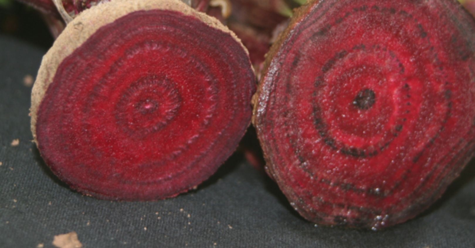 Vascular Discoloration in Beets due to Beet Curly Top Virus