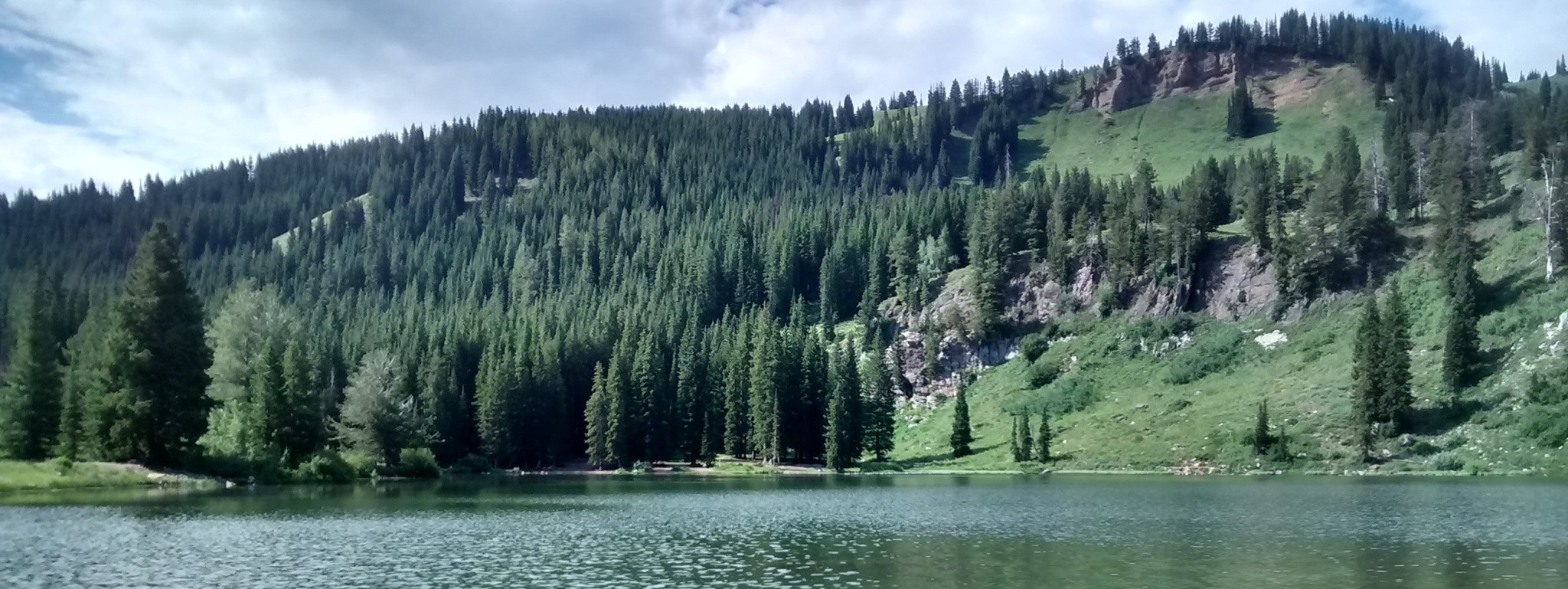 Forest with lake in the forefront
