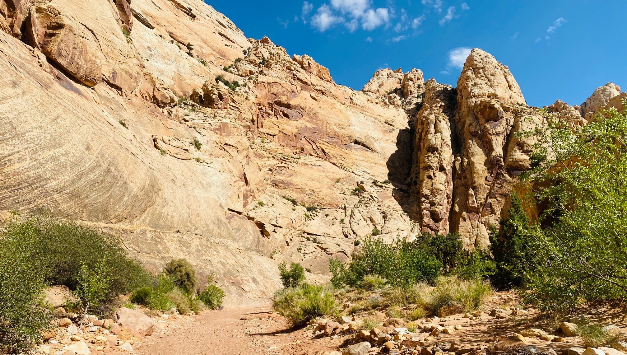 Wash in a desert in Southern Utah.