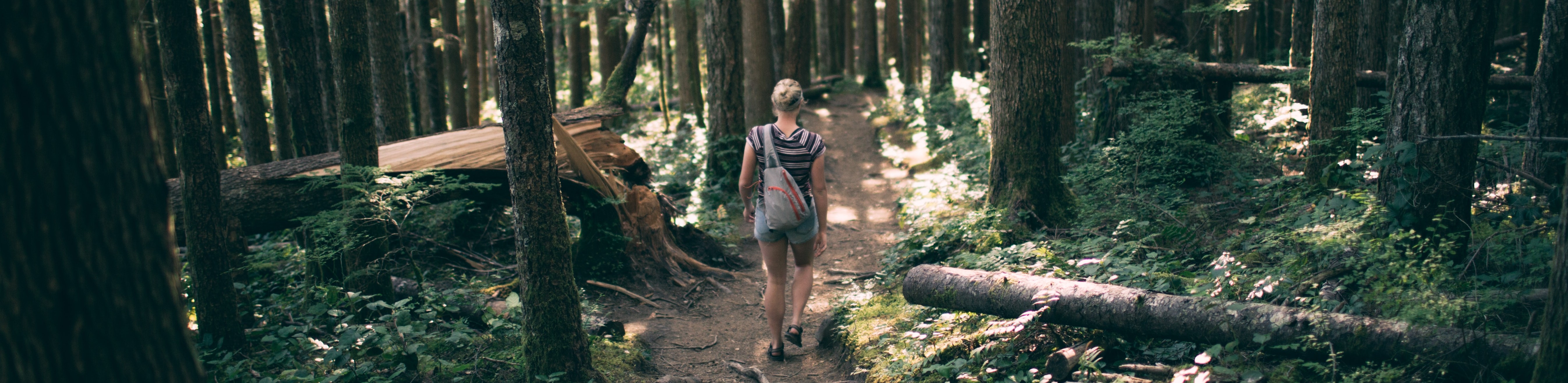 Woman walking through forest.