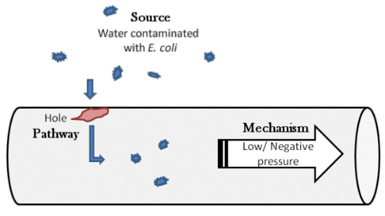 graphic showing contamination mechanisms