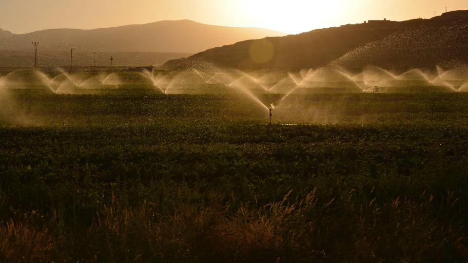 Irrigation Water Frequently Asked Questions