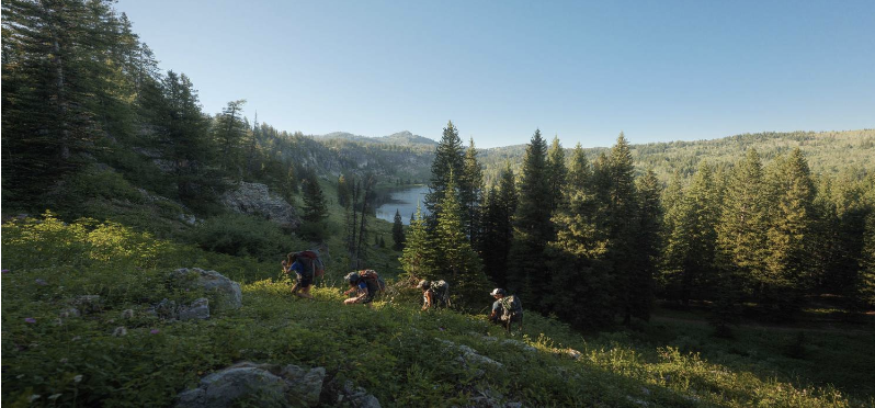 Hikers in the Mountain side surrounded by evergreen trees and a beautiful vista. 