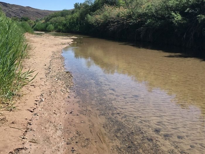 Southern Utah stream with no algae