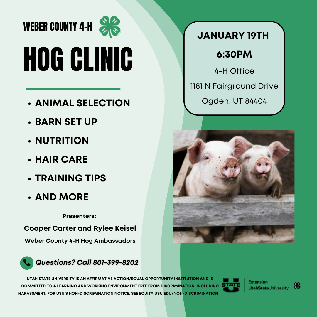 Hog Clinic