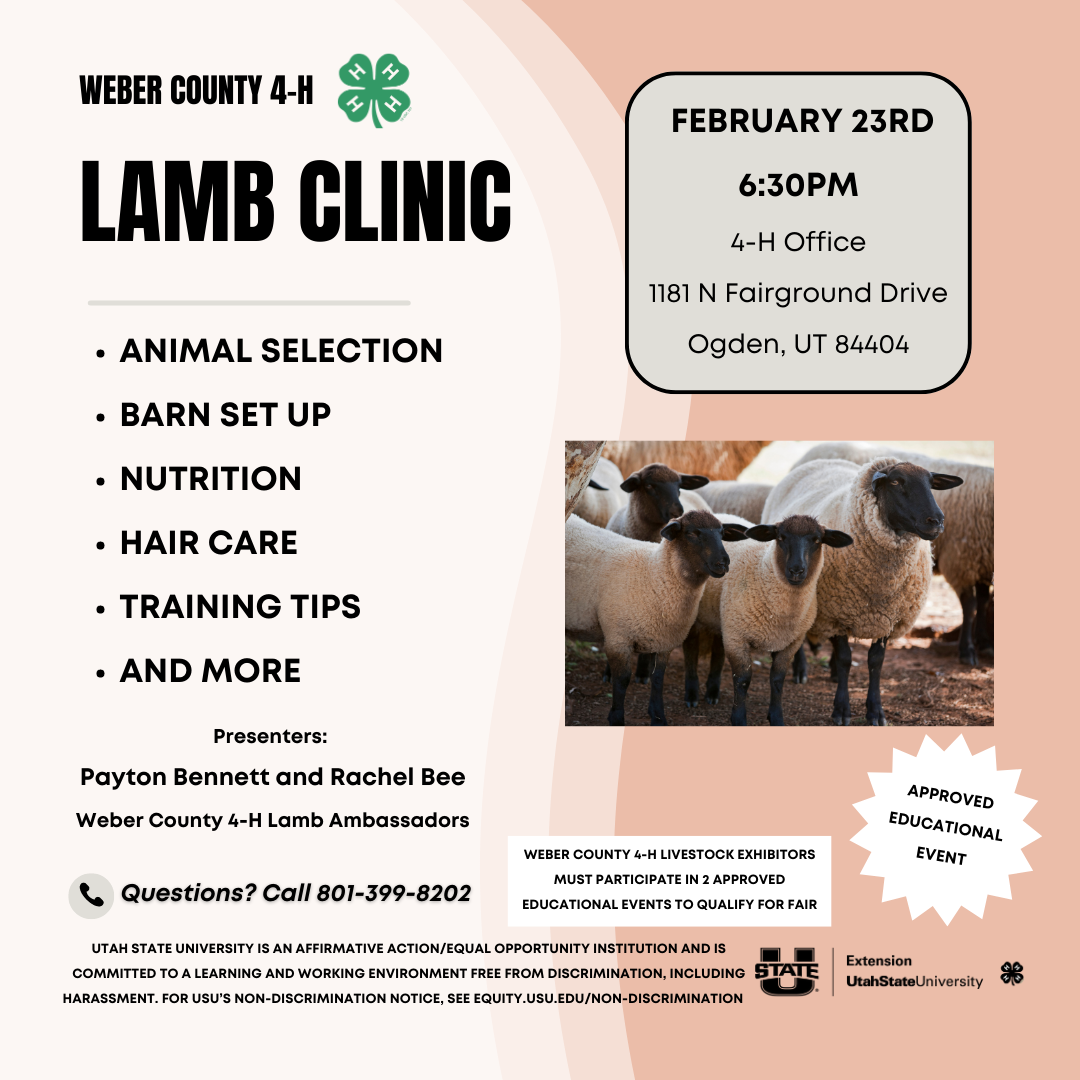 Lamb Clinic