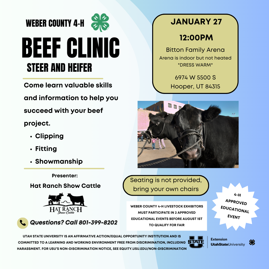 Beef Clinic