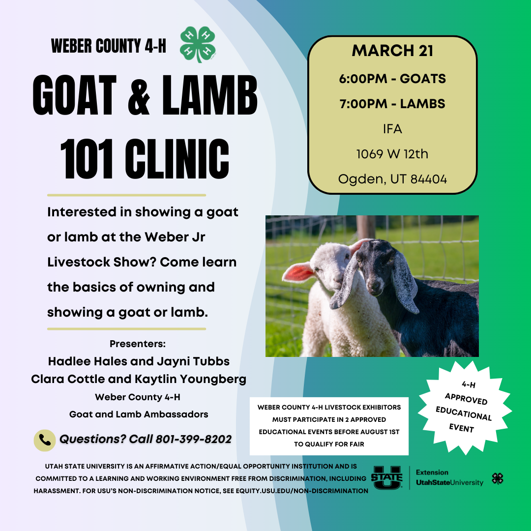 Goat and Lamb Clinic